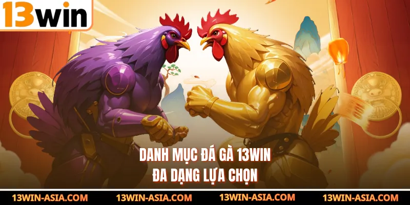 Danh mục đá gà 13Win đa dạng lựa chọn